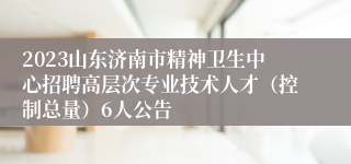 2023山东济南市精神卫生中心招聘高层次专业技术人才（控制总量）6人公告