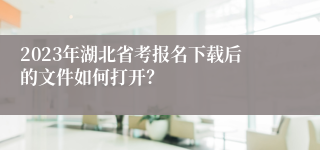 2023年湖北省考报名下载后的文件如何打开？