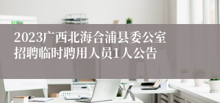 2023广西北海合浦县委公室招聘临时聘用人员1人公告