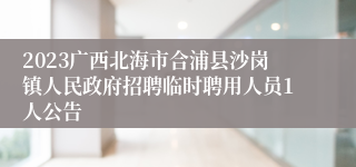 2023广西北海市合浦县沙岗镇人民政府招聘临时聘用人员1人公告