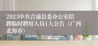 2023中共合浦县委办公室招聘临时聘用人员1人公告（广西北海市）