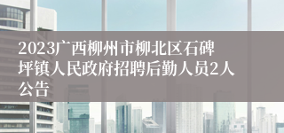 2023广西柳州市柳北区石碑坪镇人民政府招聘后勤人员2人公告