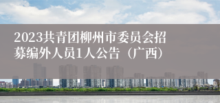 2023共青团柳州市委员会招募编外人员1人公告（广西）