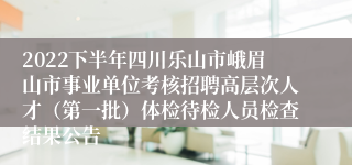 2022下半年四川乐山市峨眉山市事业单位考核招聘高层次人才（第一批）体检待检人员检查结果公告