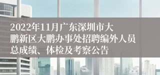 2022年11月广东深圳市大鹏新区大鹏办事处招聘编外人员总成绩、体检及考察公告