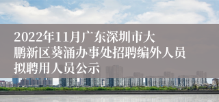 2022年11月广东深圳市大鹏新区葵涌办事处招聘编外人员拟聘用人员公示