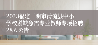 2023福建三明市清流县中小学校紧缺急需专业教师专项招聘28人公告