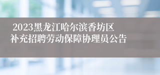  2023黑龙江哈尔滨香坊区补充招聘劳动保障协理员公告