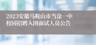 2023安徽马鞍山市当涂一中校园招聘入围面试人员公告