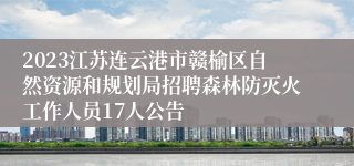 2023江苏连云港市赣榆区自然资源和规划局招聘森林防灭火工作人员17人公告