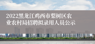 2022黑龙江鸡西市梨树区农业农村局招聘拟录用人员公示
