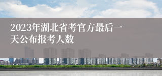 2023年湖北省考官方最后一天公布报考人数