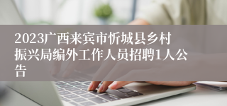 2023广西来宾市忻城县乡村振兴局编外工作人员招聘1人公告