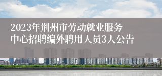 2023年荆州市劳动就业服务中心招聘编外聘用人员3人公告