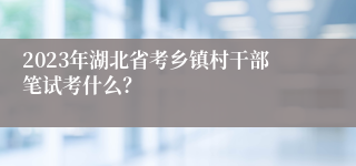 2023年湖北省考乡镇村干部笔试考什么？