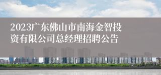 2023广东佛山市南海金智投资有限公司总经理招聘公告