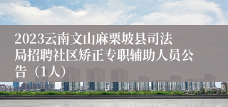 2023云南文山麻栗坡县司法局招聘社区矫正专职辅助人员公告（1人）