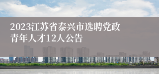 2023江苏省泰兴市选聘党政青年人才12人公告