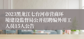 2023黑龙江七台河市营商环境建设监督局公开招聘编外用工人员15人公告