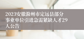 2023安徽滁州市定远县部分事业单位引进急需紧缺人才29人公告