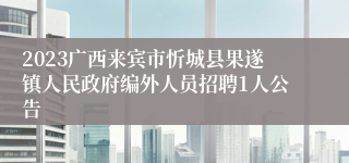 2023广西来宾市忻城县果遂镇人民政府编外人员招聘1人公告