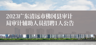 2023广东清远市佛冈县审计局审计辅助人员招聘1人公告