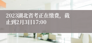 2023湖北省考正在缴费，截止到2月3日17:00