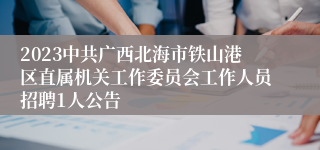 2023中共广西北海市铁山港区直属机关工作委员会工作人员招聘1人公告