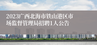 2023广西北海市铁山港区市场监督管理局招聘1人公告