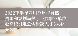 2022下半年四川泸州市自然资源和规划局关于下属事业单位赴高校引进急需紧缺人才3人补充公告