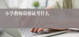 小学教师资格证考什么