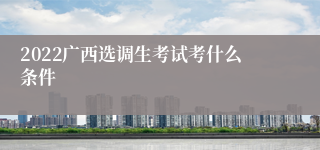 2022广西选调生考试考什么条件