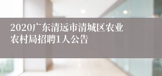 2020广东清远市清城区农业农村局招聘1人公告