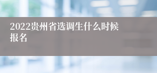 2022贵州省选调生什么时候报名