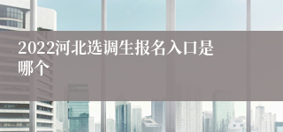 2022河北选调生报名入口是哪个