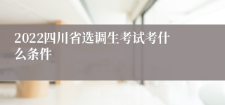 2022四川省选调生考试考什么条件