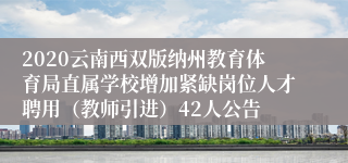 2020云南西双版纳州教育体育局直属学校增加紧缺岗位人才聘用（教师引进）42人公告