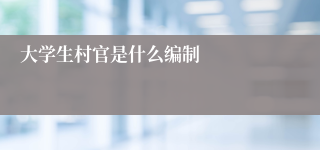 大学生村官是什么编制