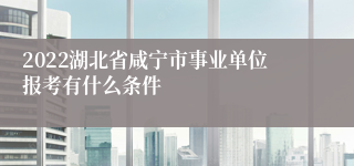 2022湖北省咸宁市事业单位报考有什么条件