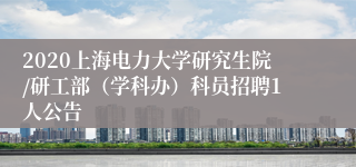 2020上海电力大学研究生院/研工部（学科办）科员招聘1人公告