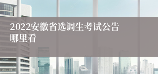 2022安徽省选调生考试公告哪里看