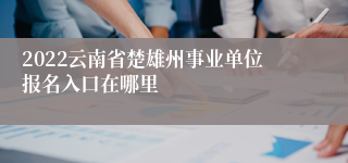 2022云南省楚雄州事业单位报名入口在哪里