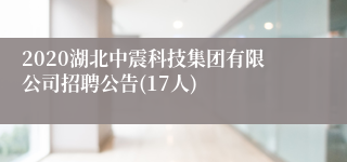 2020湖北中震科技集团有限公司招聘公告(17人)