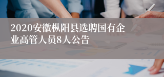 2020安徽枞阳县选聘国有企业高管人员8人公告