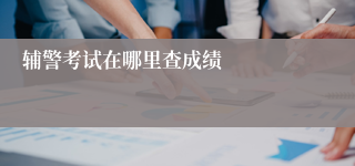 辅警考试在哪里查成绩