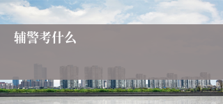 辅警考什么