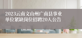 2023云南文山州广南县事业单位紧缺岗位招聘20人公告