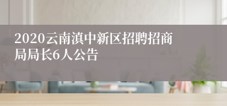 2020云南滇中新区招聘招商局局长6人公告