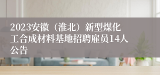 2023安徽（淮北）新型煤化工合成材料基地招聘雇员14人公告