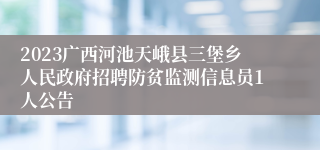 2023广西河池天峨县三堡乡人民政府招聘防贫监测信息员1人公告